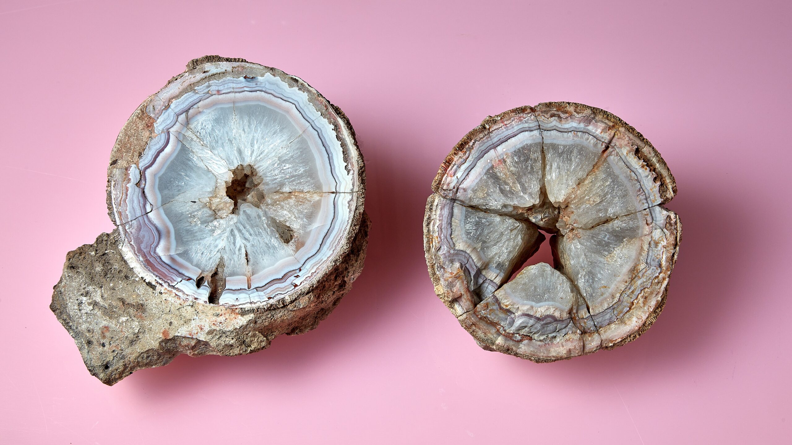 Ancient Crystal filled Rock Has Been Hiding Dinosaur Secret For 140 Years Live Science Ancient Crystal filled Rock Has Been Hiding Dinosaur Secret For 140 Years Live Science