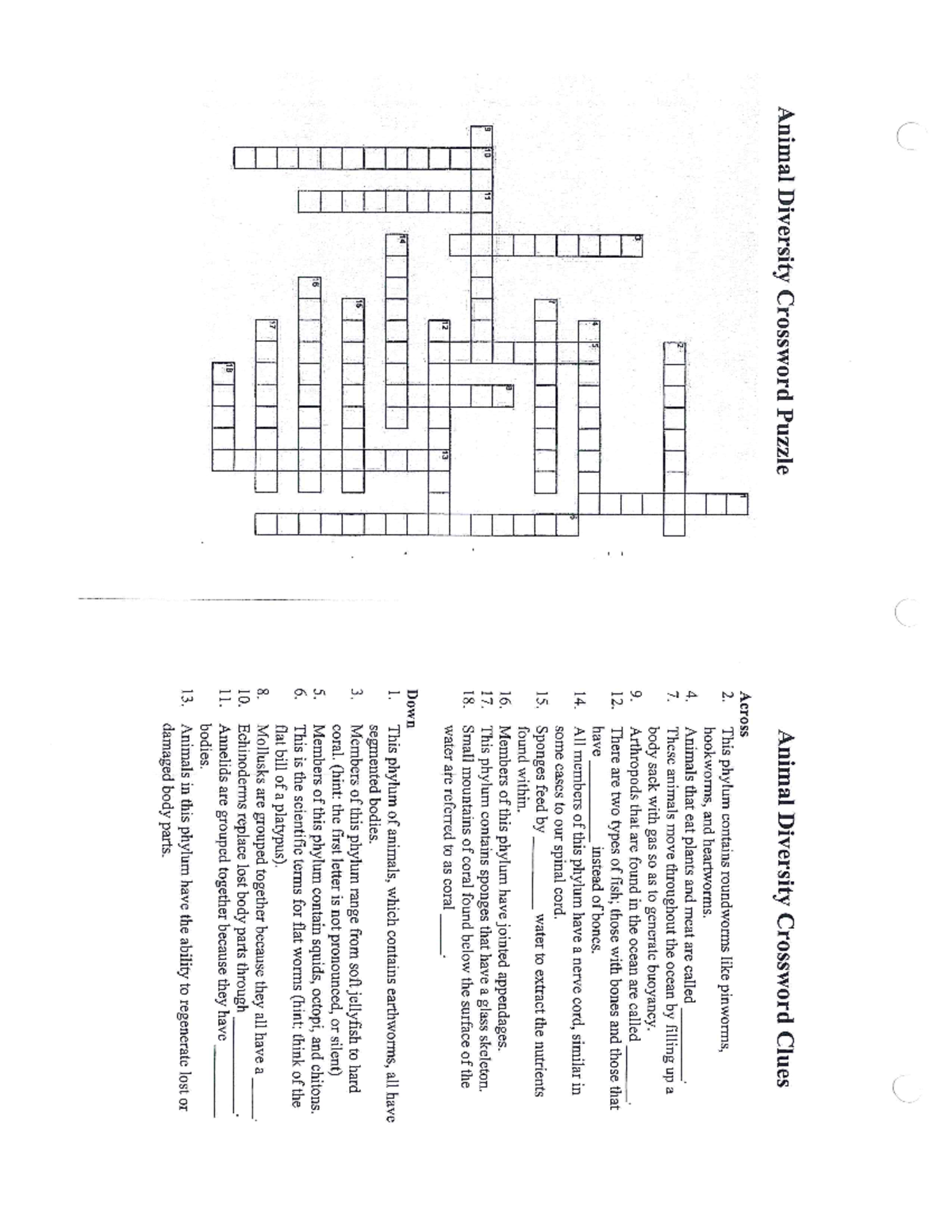 Animal Diversity Crossword Puzzle Clues Solutions Guide Studocu Animal Diversity Crossword Puzzle Clues Solutions Guide Studocu