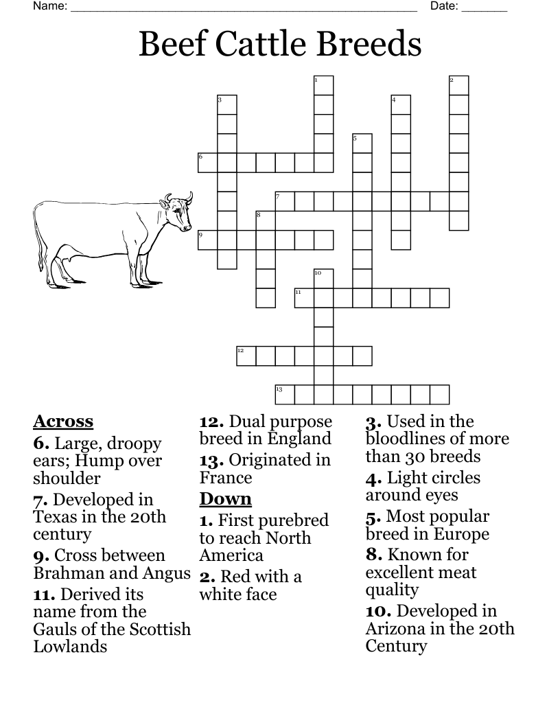 Beef Cattle Breeds Crossword WordMint