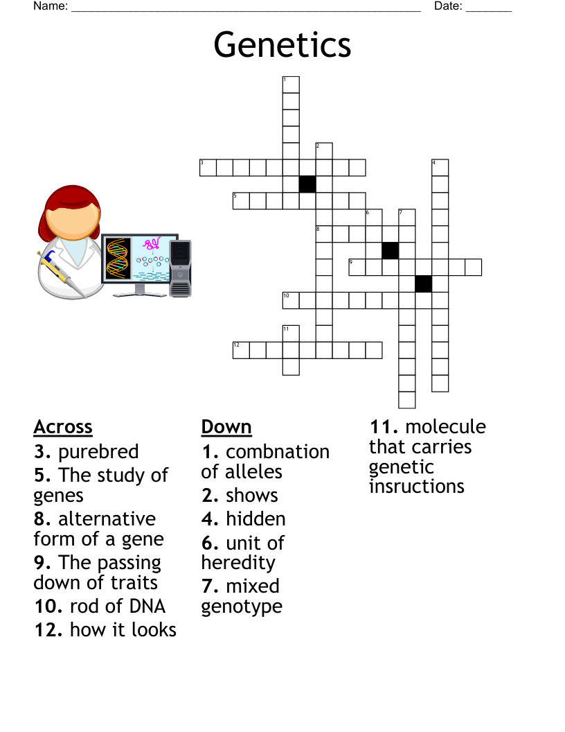 Biology Chapter 9 Crossword WordMint