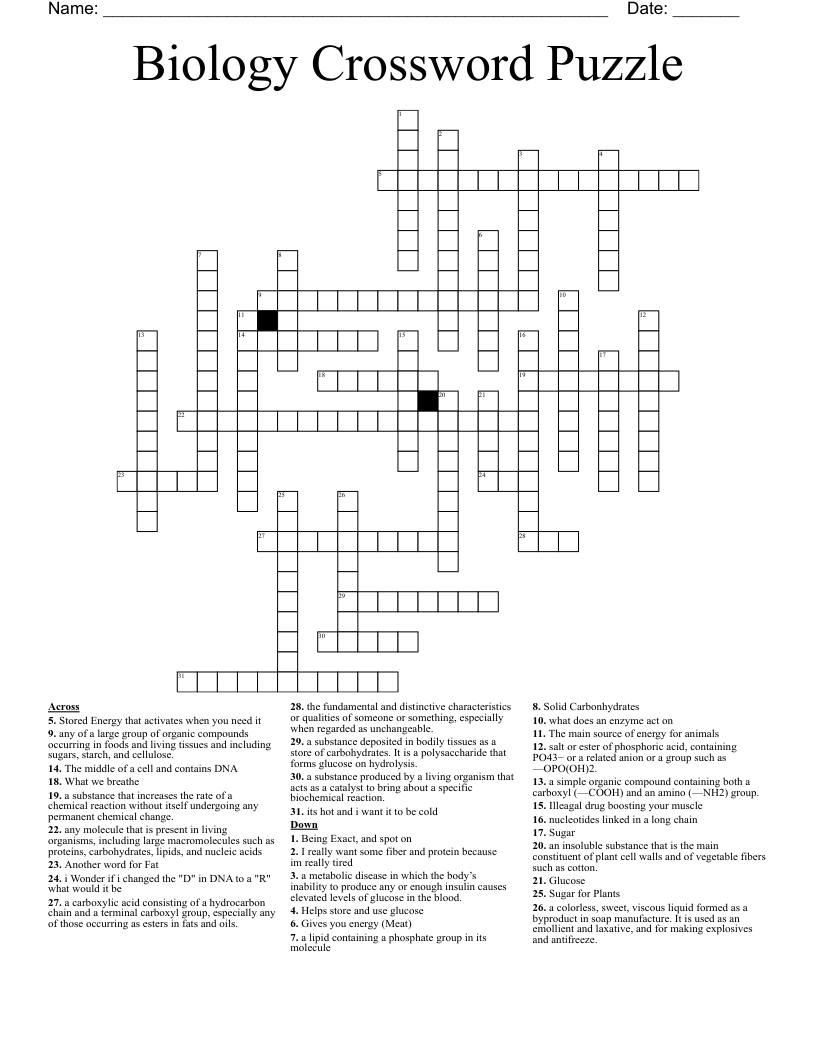 Biology Crossword Puzzle WordMint Biology Crossword Puzzle WordMint