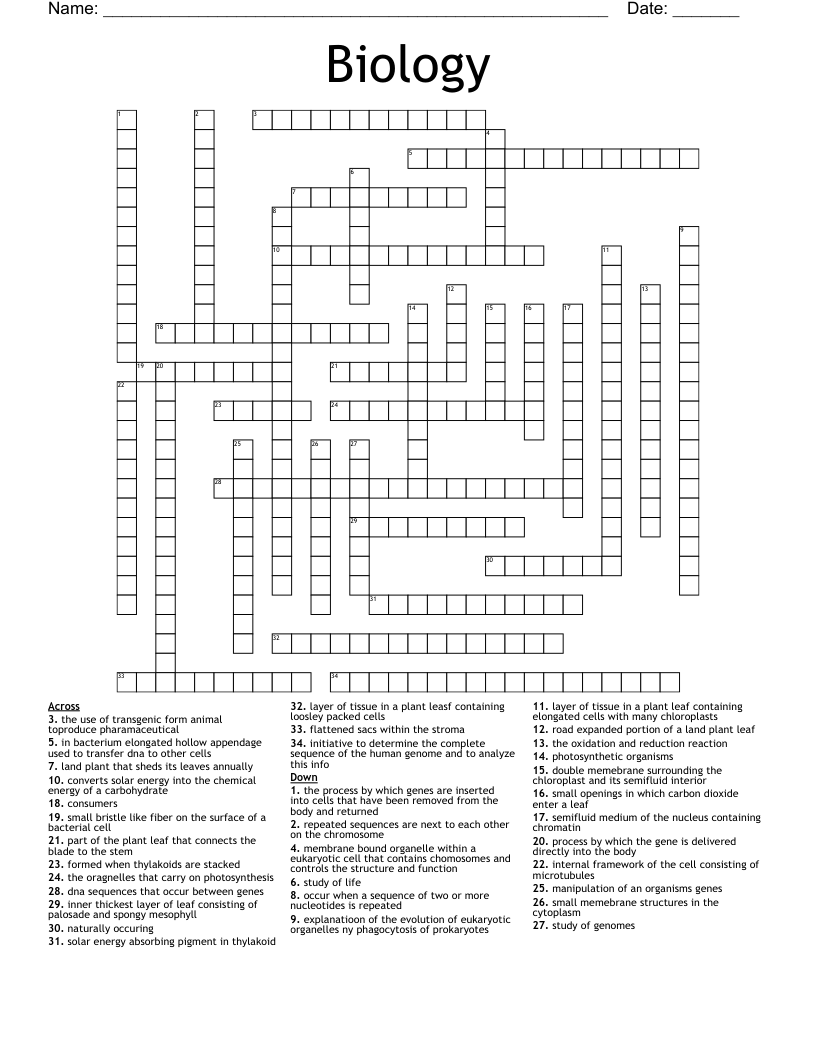 Biology Crossword WordMint Biology Crossword WordMint