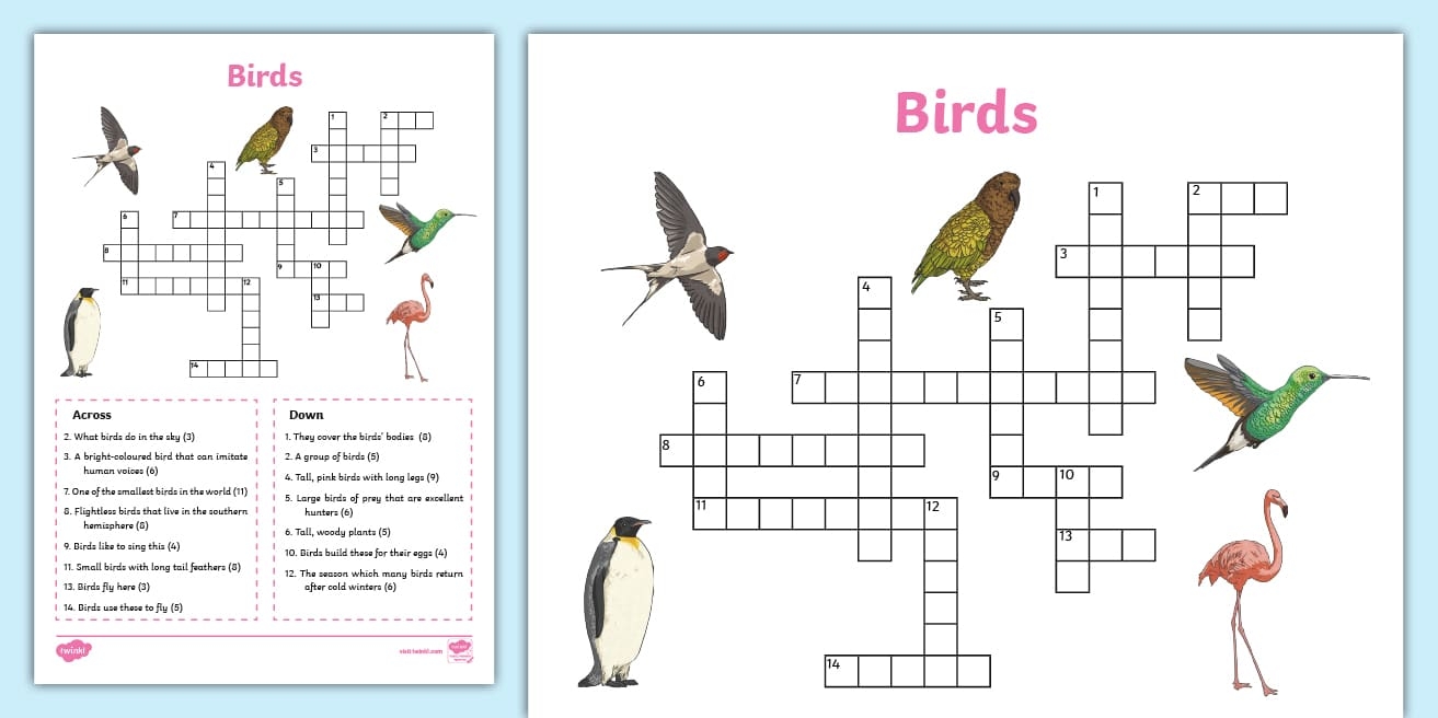 new zealand bird crossword new zealand bird crossword