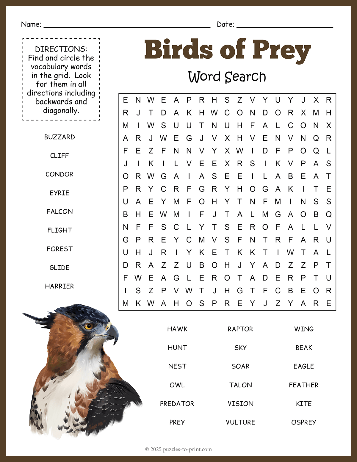 bird of prey crossword bird of prey crossword