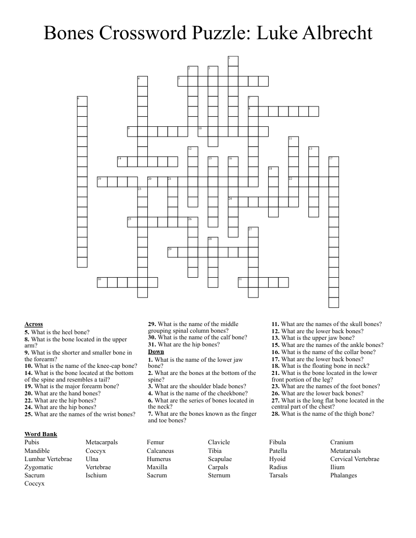 Bones Crossword Puzzle Luke Albrecht WordMint Bones Crossword Puzzle Luke Albrecht WordMint