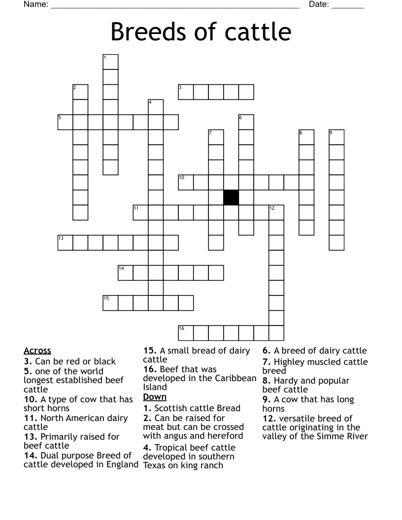 Breeds Of Cattle Crossword WordMint