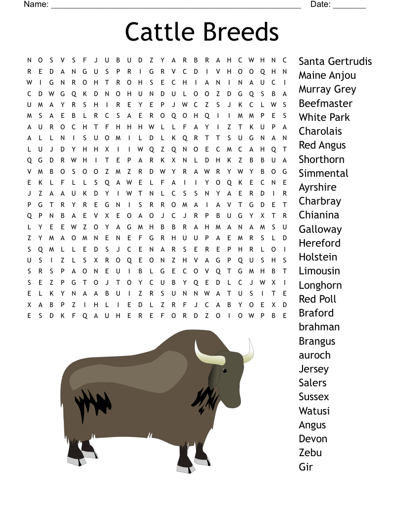 Cattle Breeds Word Search WordMint