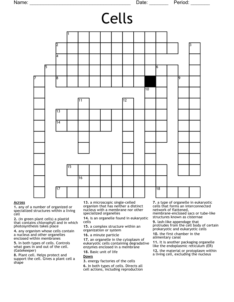 Cells Crossword WordMint
