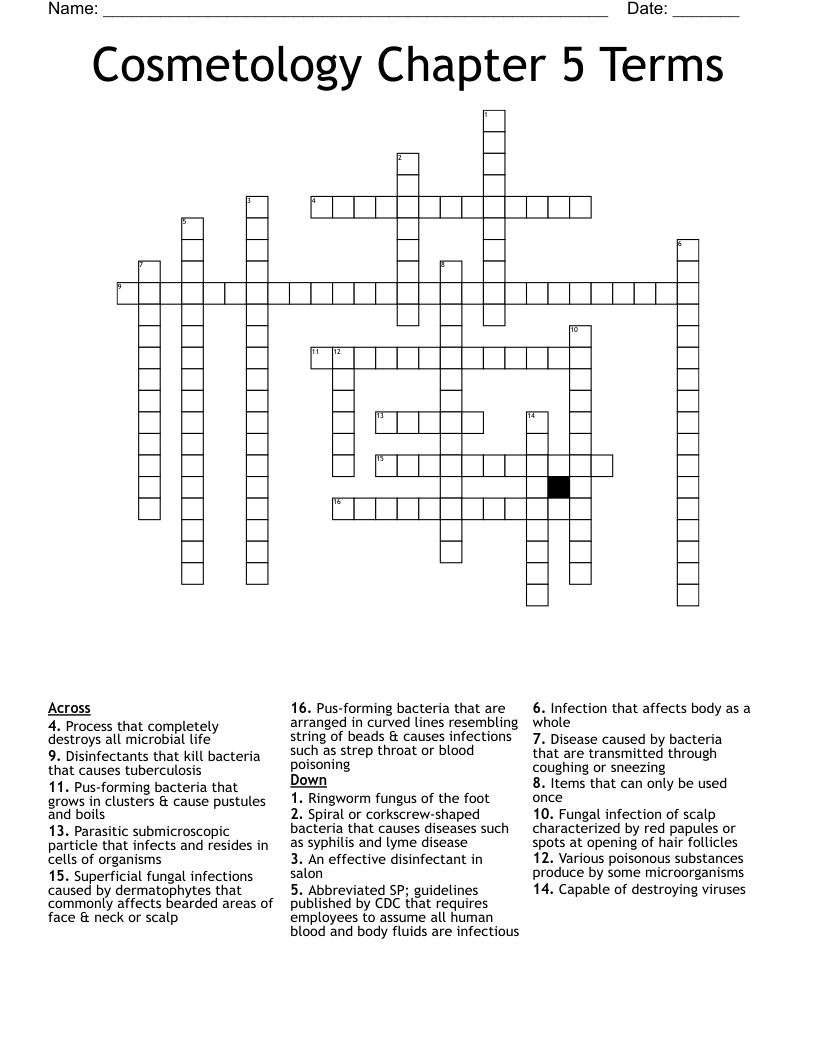 Cosmetology Chapter 5 Terms Crossword WordMint Cosmetology Chapter 5 Terms Crossword WordMint
