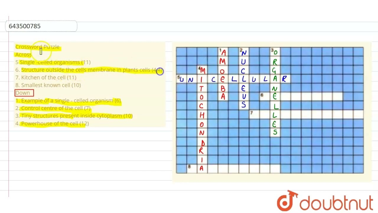 Crossword Puzzle Across 5 Single celled Organisms 11 6 Structure Outside The Cellsmembrane In YouTube