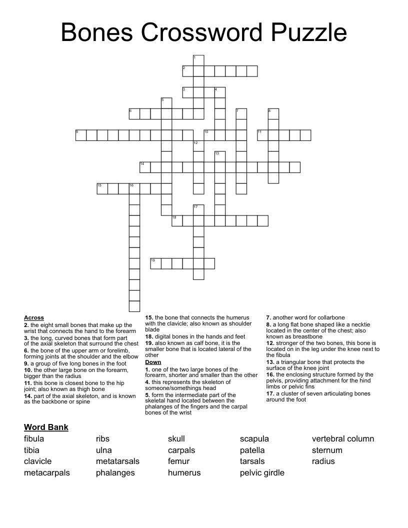 Darn It Crossword 5 Letters Letters Darn It Crossword 5 Letters Letters