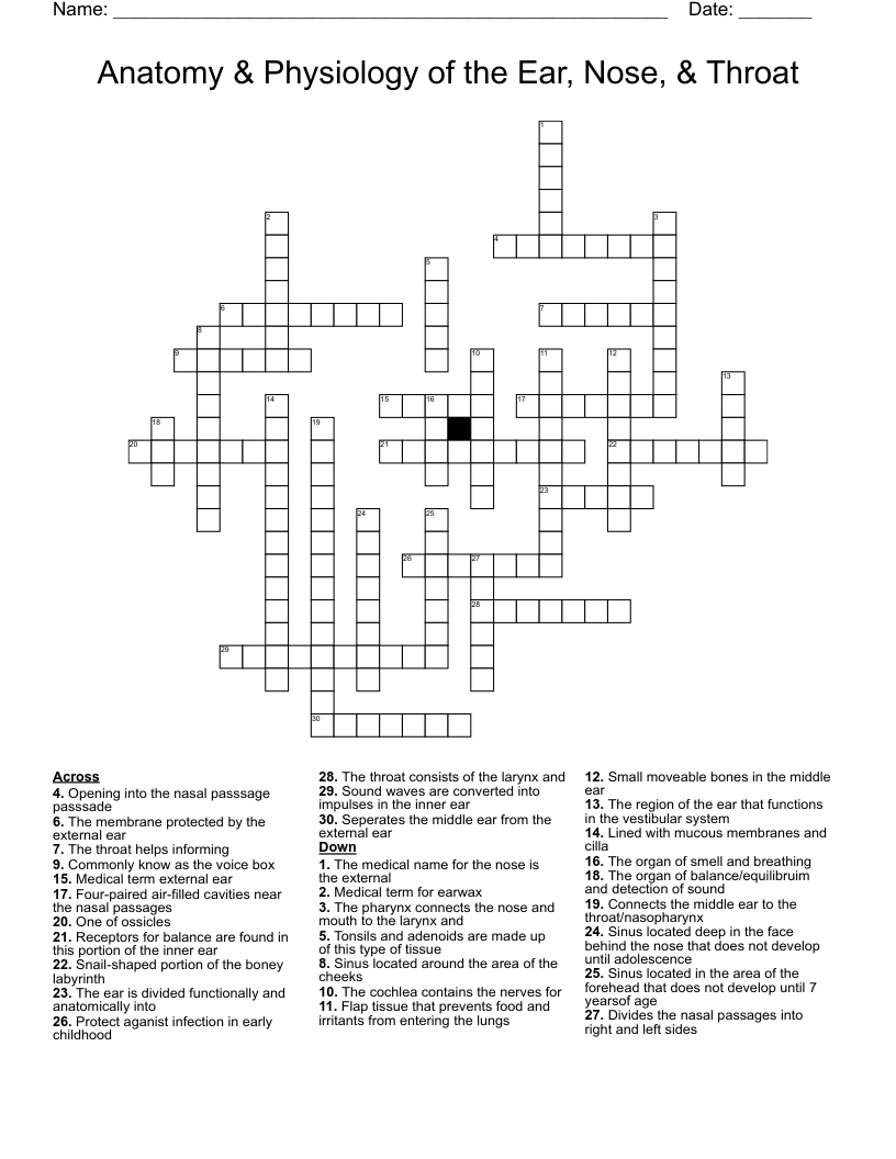 Ear Nose Throat Crosswords Word Searches Bingo Cards WordMint