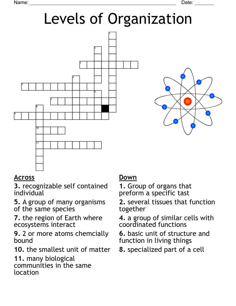 Exploring Creation With Biology Module 3 Crossword WordMint Exploring Creation With Biology Module 3 Crossword WordMint