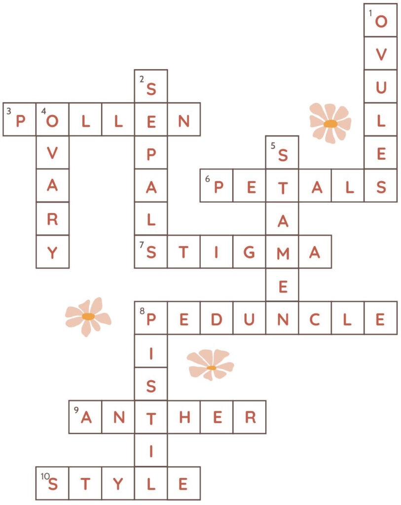flower part crossword
