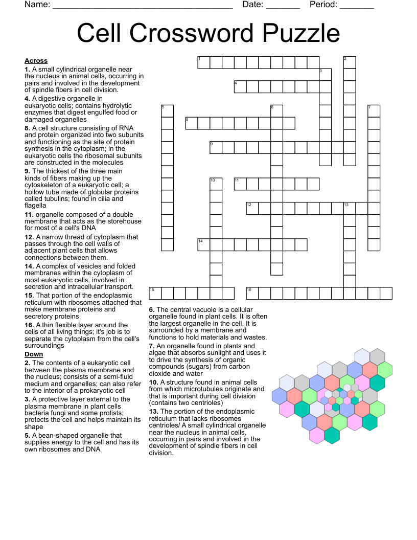 Honors Biology Crossword Puzzle WordMint Honors Biology Crossword Puzzle WordMint