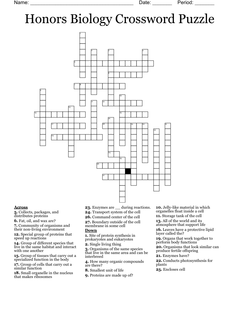 Honors Biology Crossword Puzzle WordMint Honors Biology Crossword Puzzle WordMint