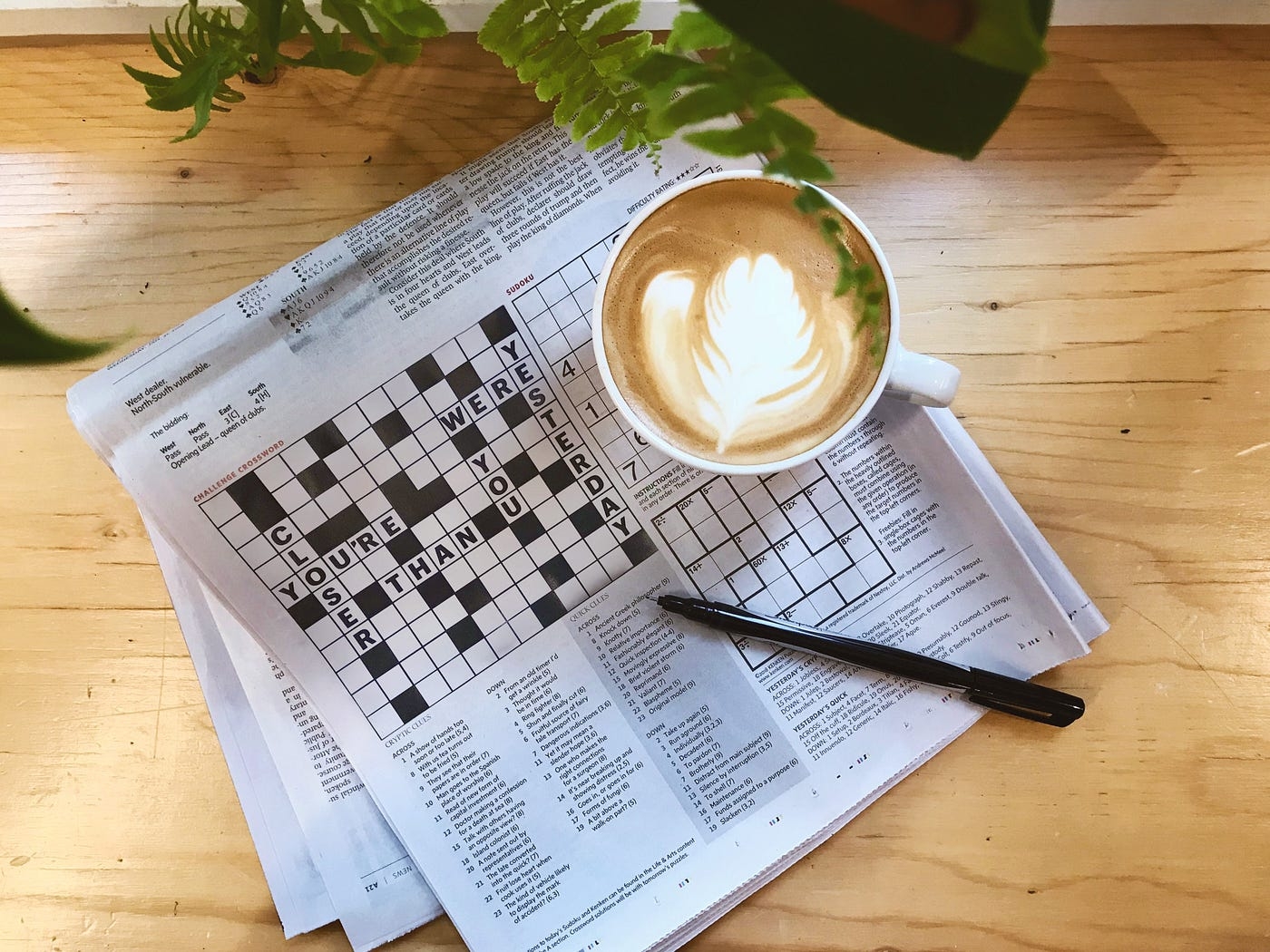 dreamt big crossword