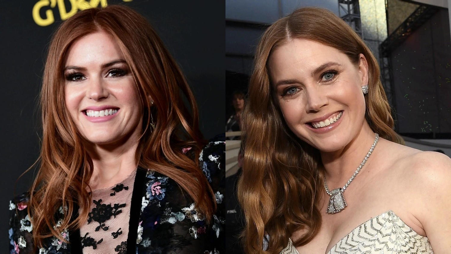 Isla Fisher Talks About How She Gets Mistaken For Amy Adams