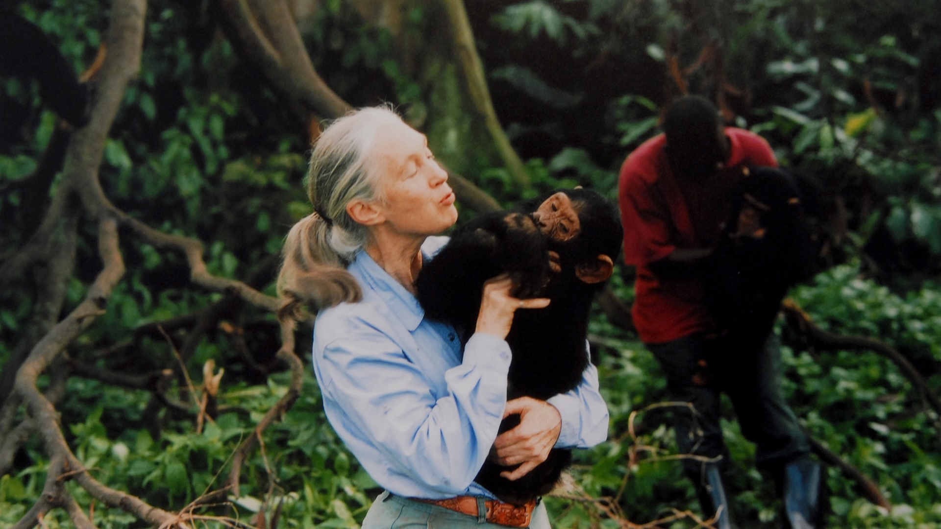 primatologist dian crossword