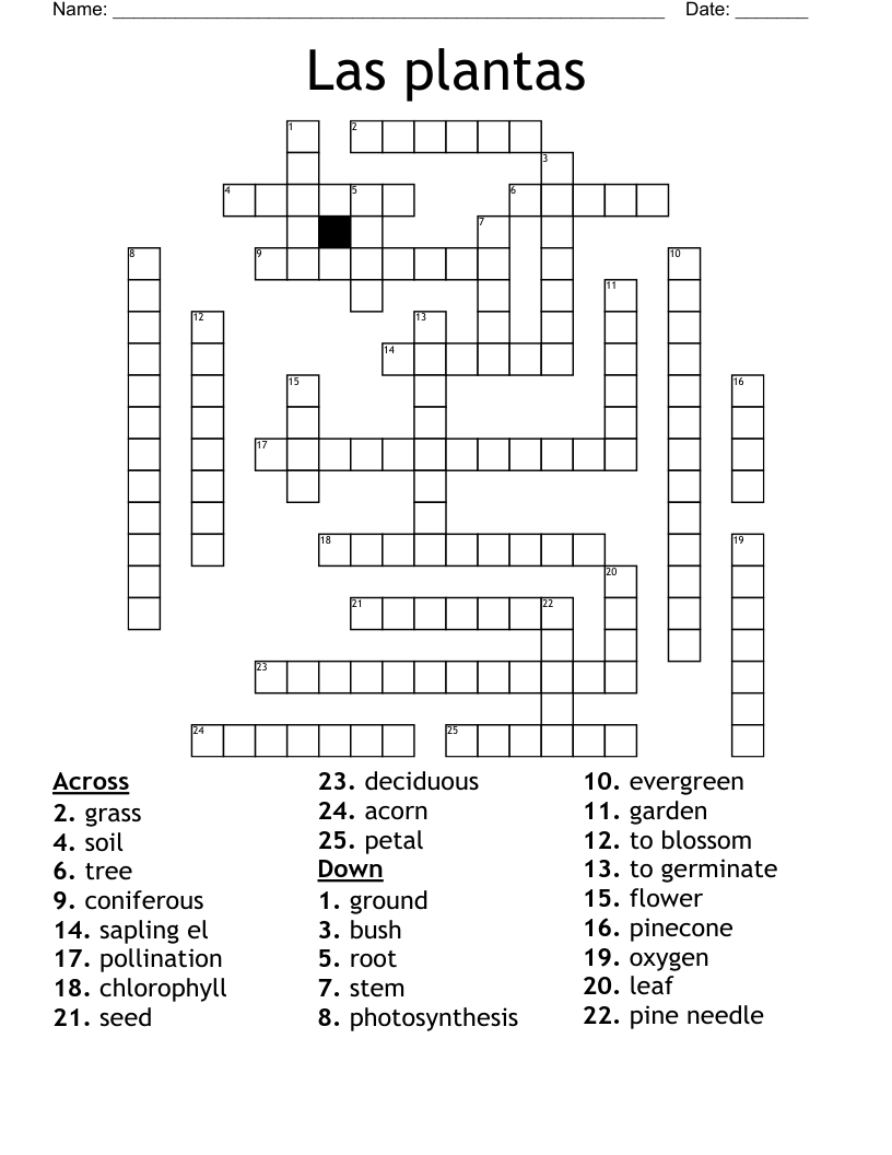 Las Plantas Crossword WordMint