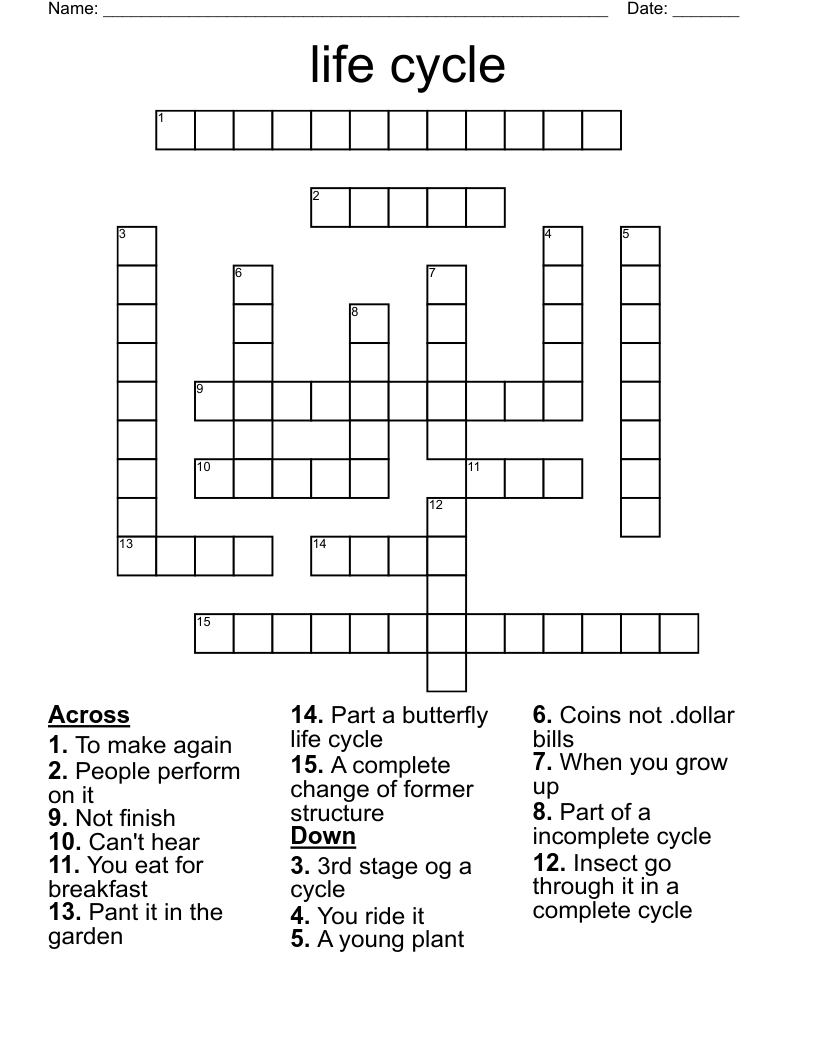 insect stage crossword insect stage crossword