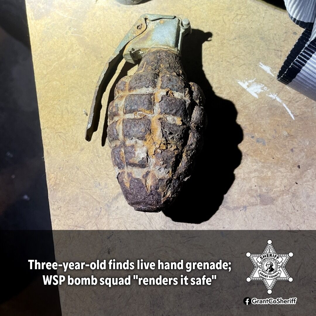 Live Grenade Discovered In Family s Front Yard