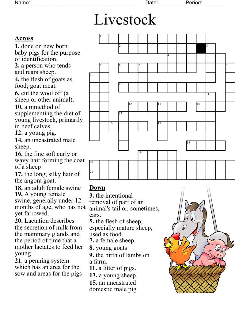 Livestock Crossword WordMint