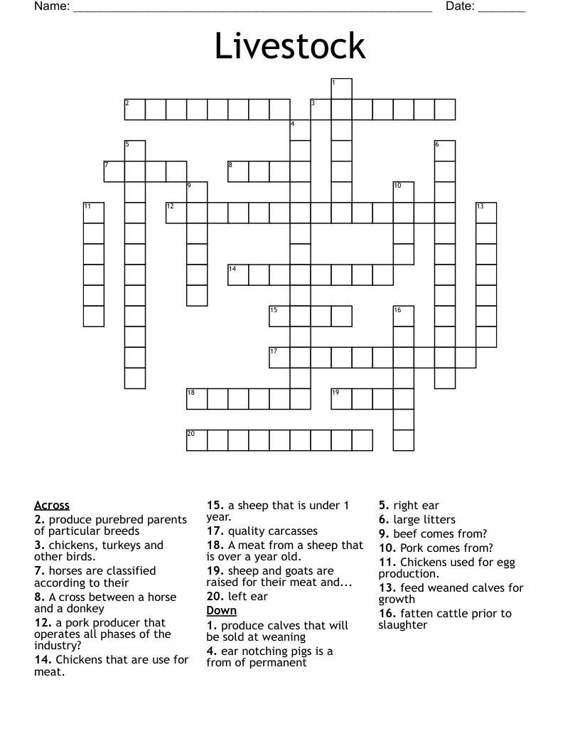 Livestock Crossword WordMint