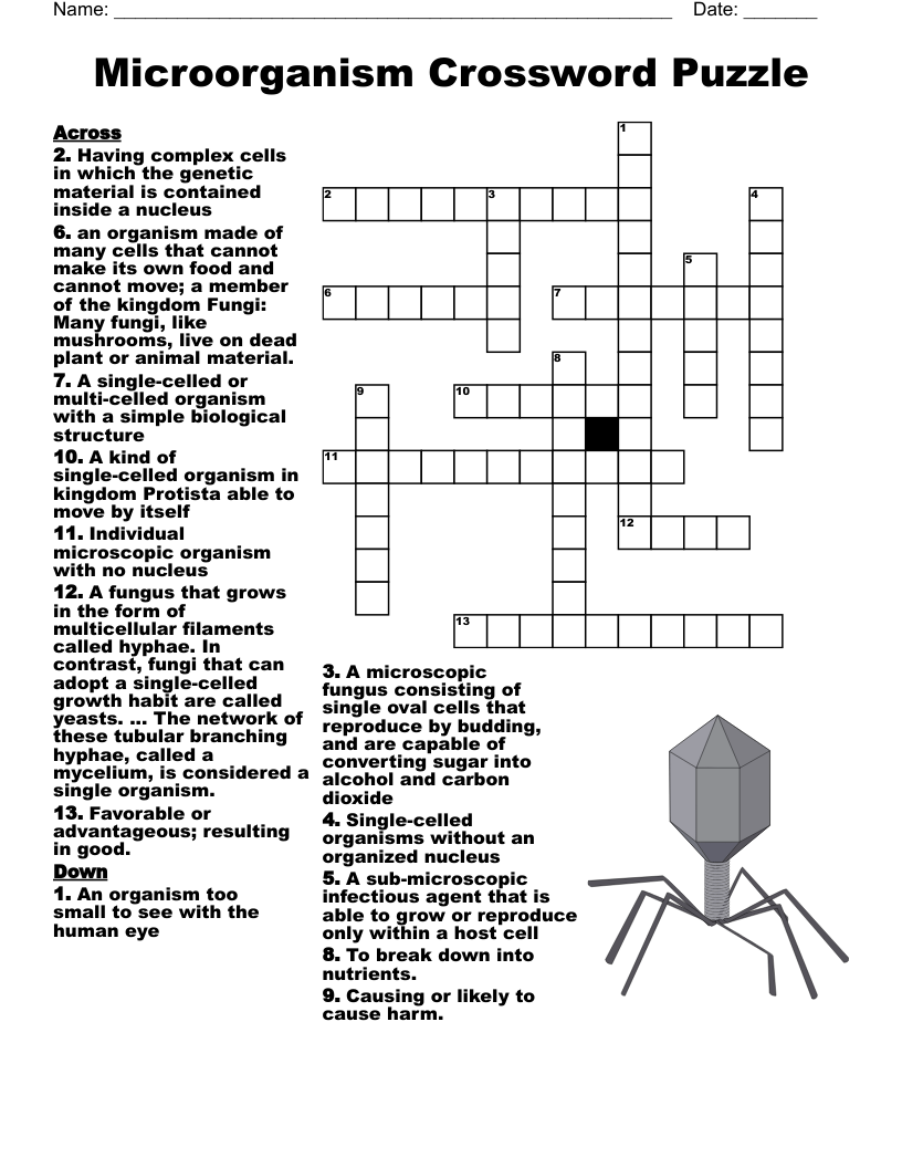 Microorganism Crossword Puzzle WordMint