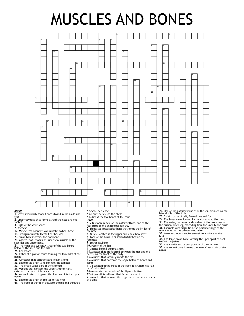 MUSCLES AND BONES Crossword WordMint