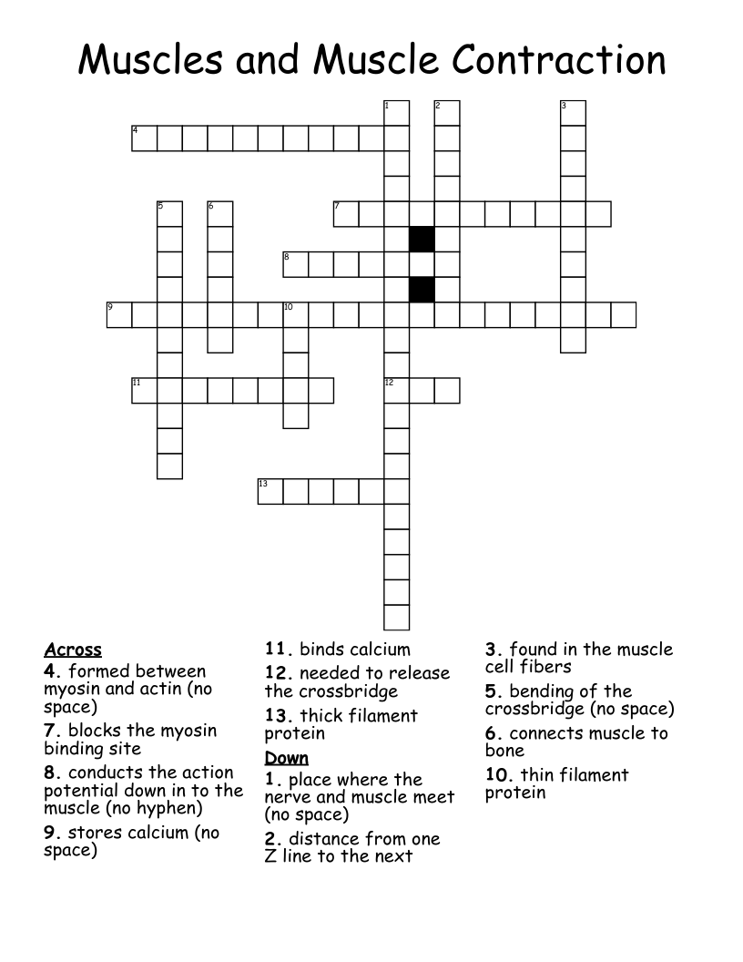 Muscles And Muscle Contraction Crossword WordMint