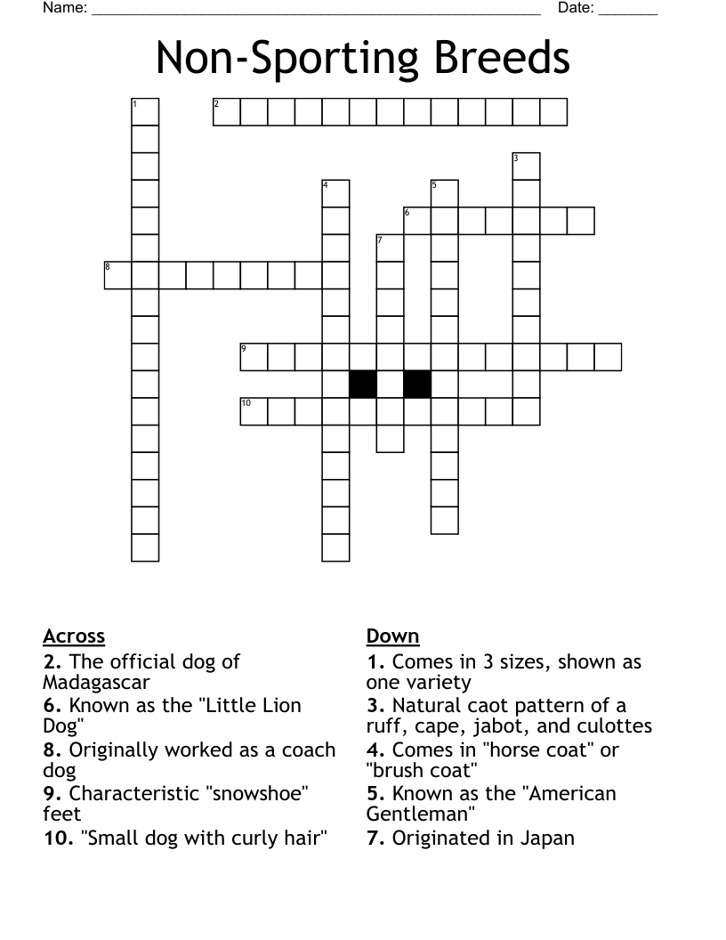 small dog crossword