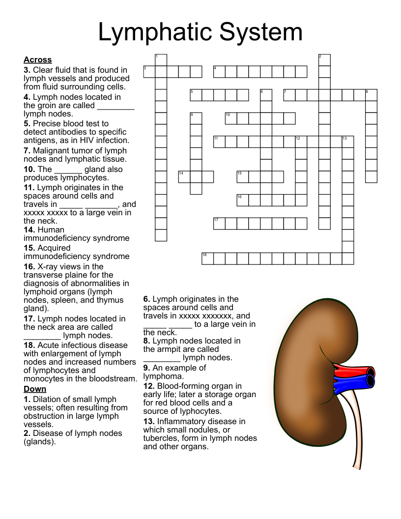 Pathology Of The Ovaries Crossword WordMint Pathology Of The Ovaries Crossword WordMint