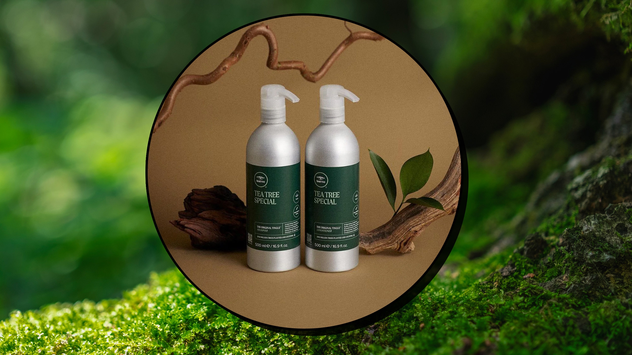 Paul Mitchell s Tea Tree Hair Collection For Dandruff Review