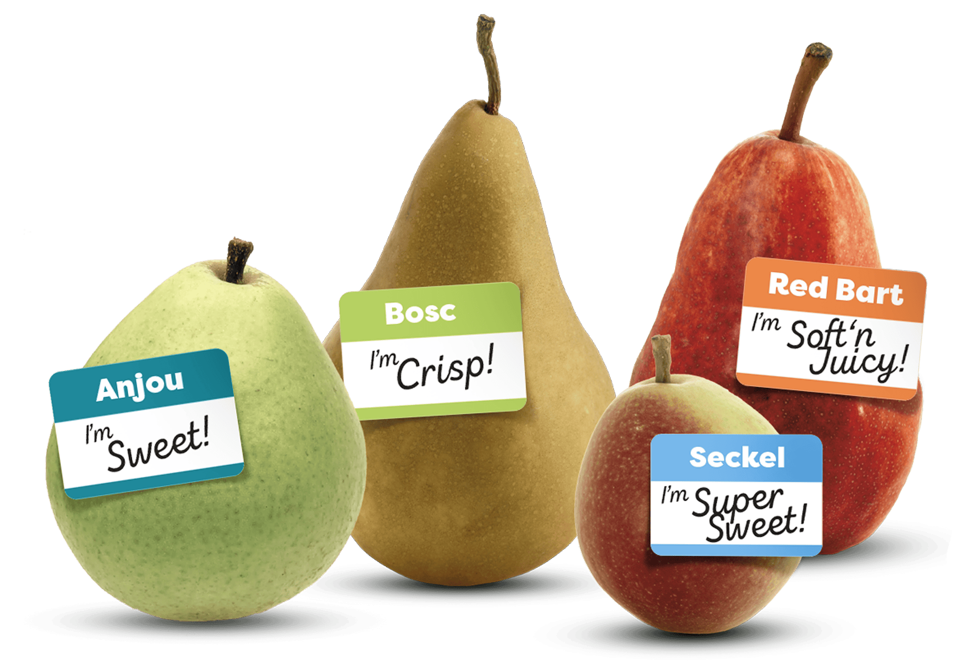 Pear Varieties Guide Flavor Texture And Season USA Pears