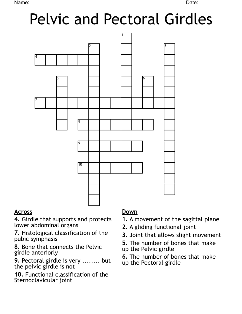 Pelvic And Pectoral Girdles Crossword WordMint Pelvic And Pectoral Girdles Crossword WordMint