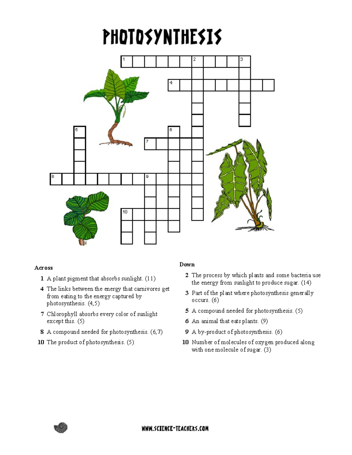 Photosynthesis Crossword Puzzle For Biology Course Studocu Photosynthesis Crossword Puzzle For Biology Course Studocu