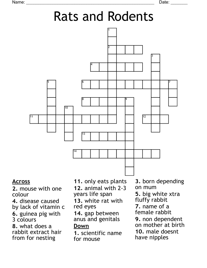 Rats And Rodents Crossword WordMint