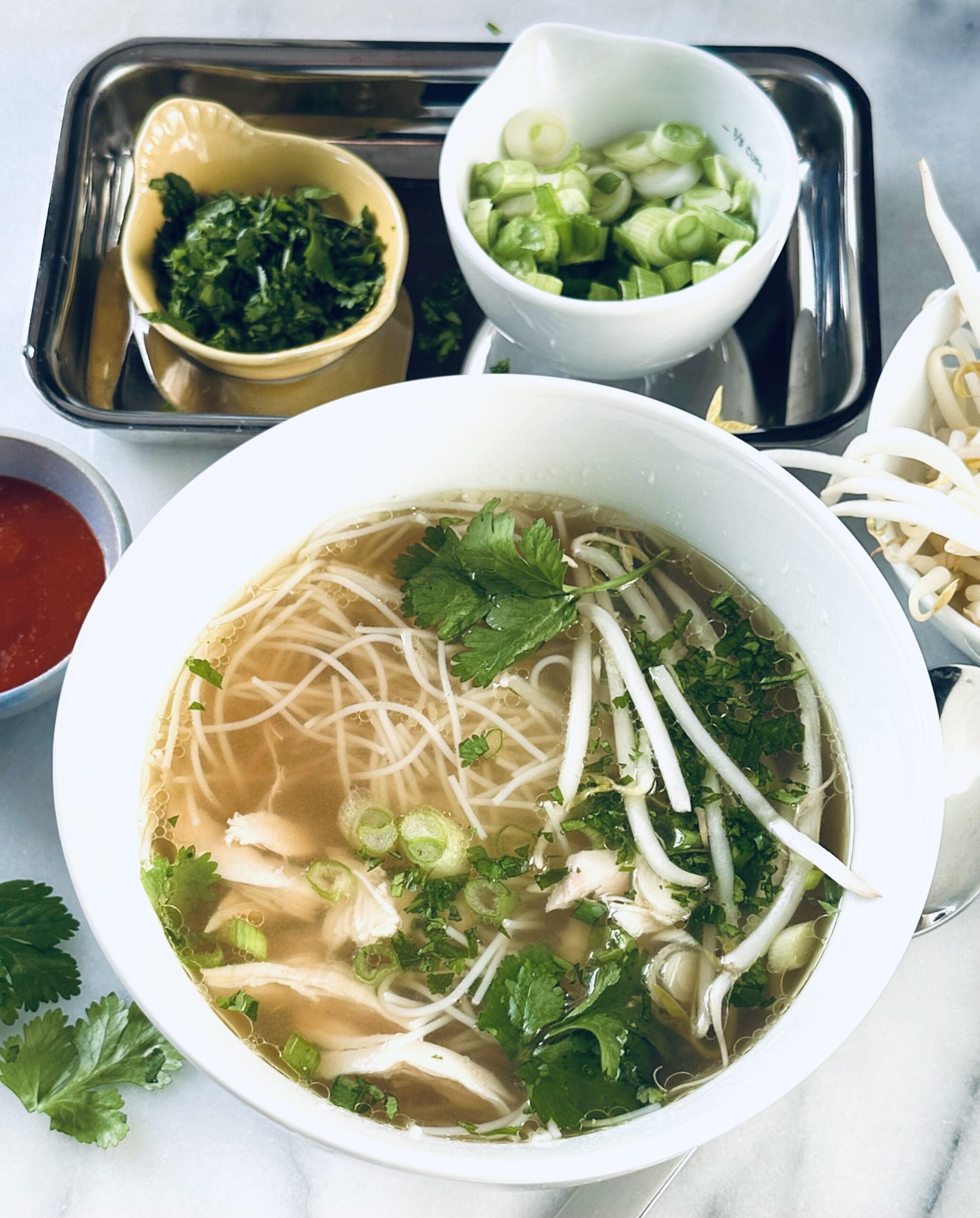 Recipe Kick start Your January Resolutions For Healthier Dinners With A Quicker Version Of Vietnamese Pho The Boston Globe