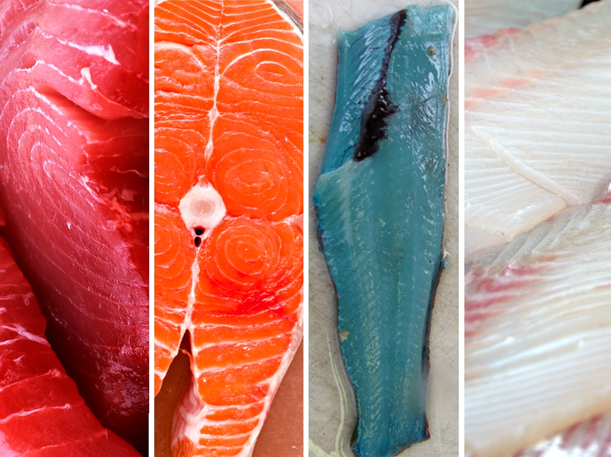 crossword sashimi fish