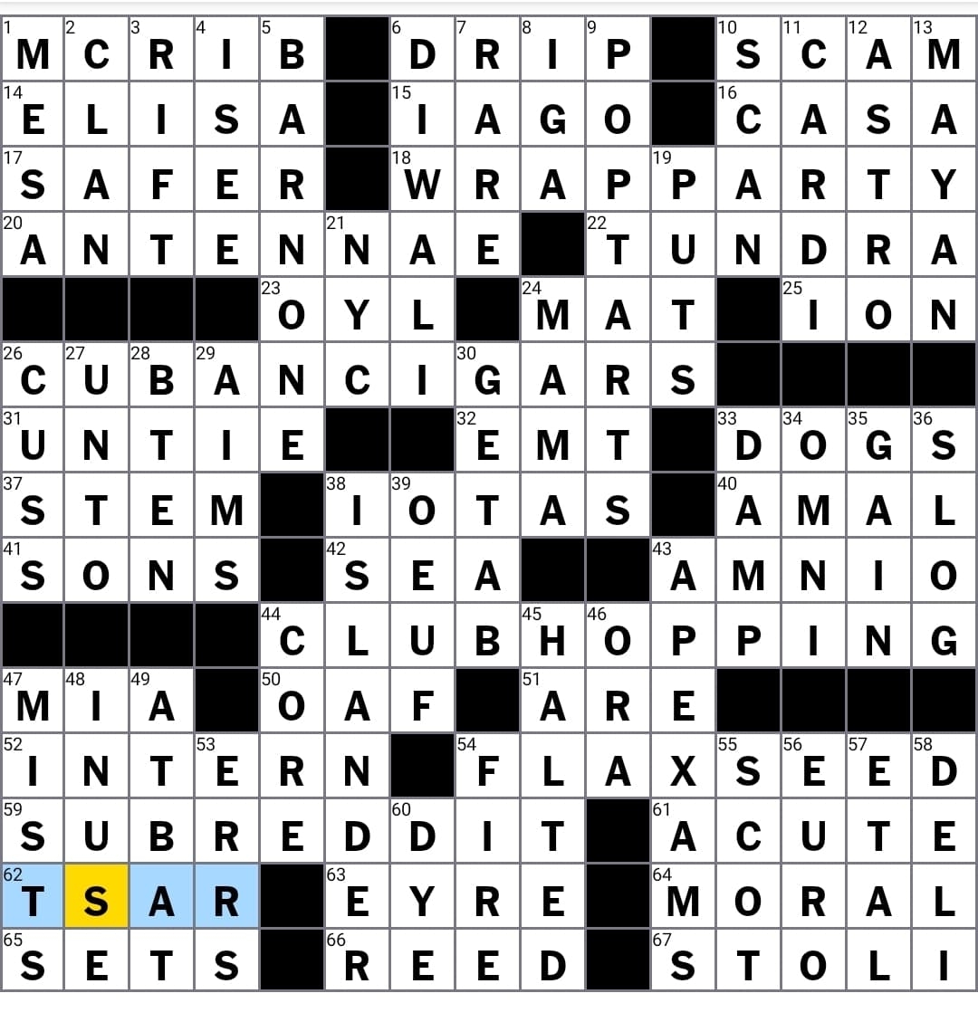 what bizarre behavior crossword what bizarre behavior crossword