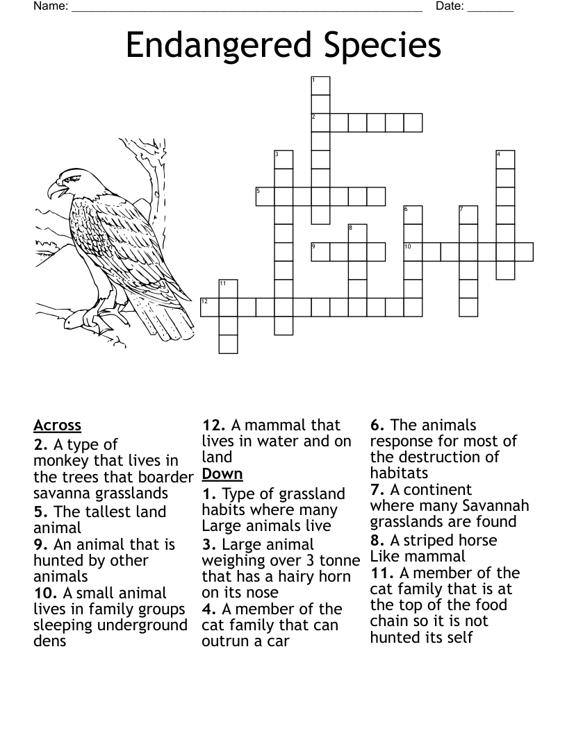 Saltwater Marsh Crossword WordMint