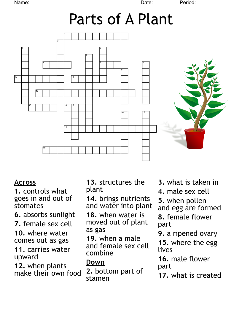 Science Words Crossword WordMint Science Words Crossword WordMint