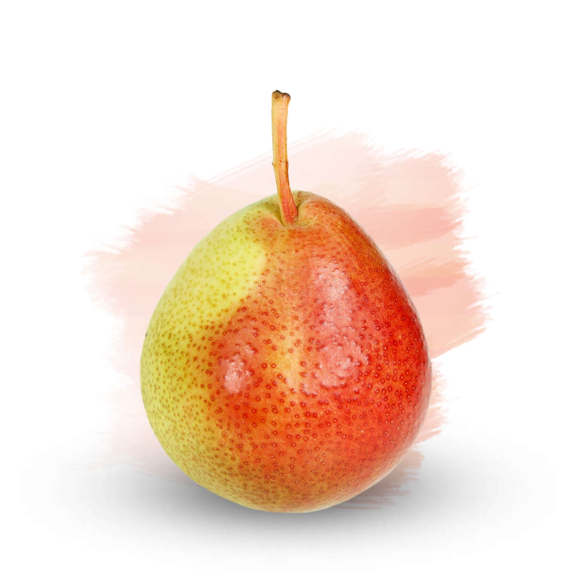 Seckel Superfresh Growers