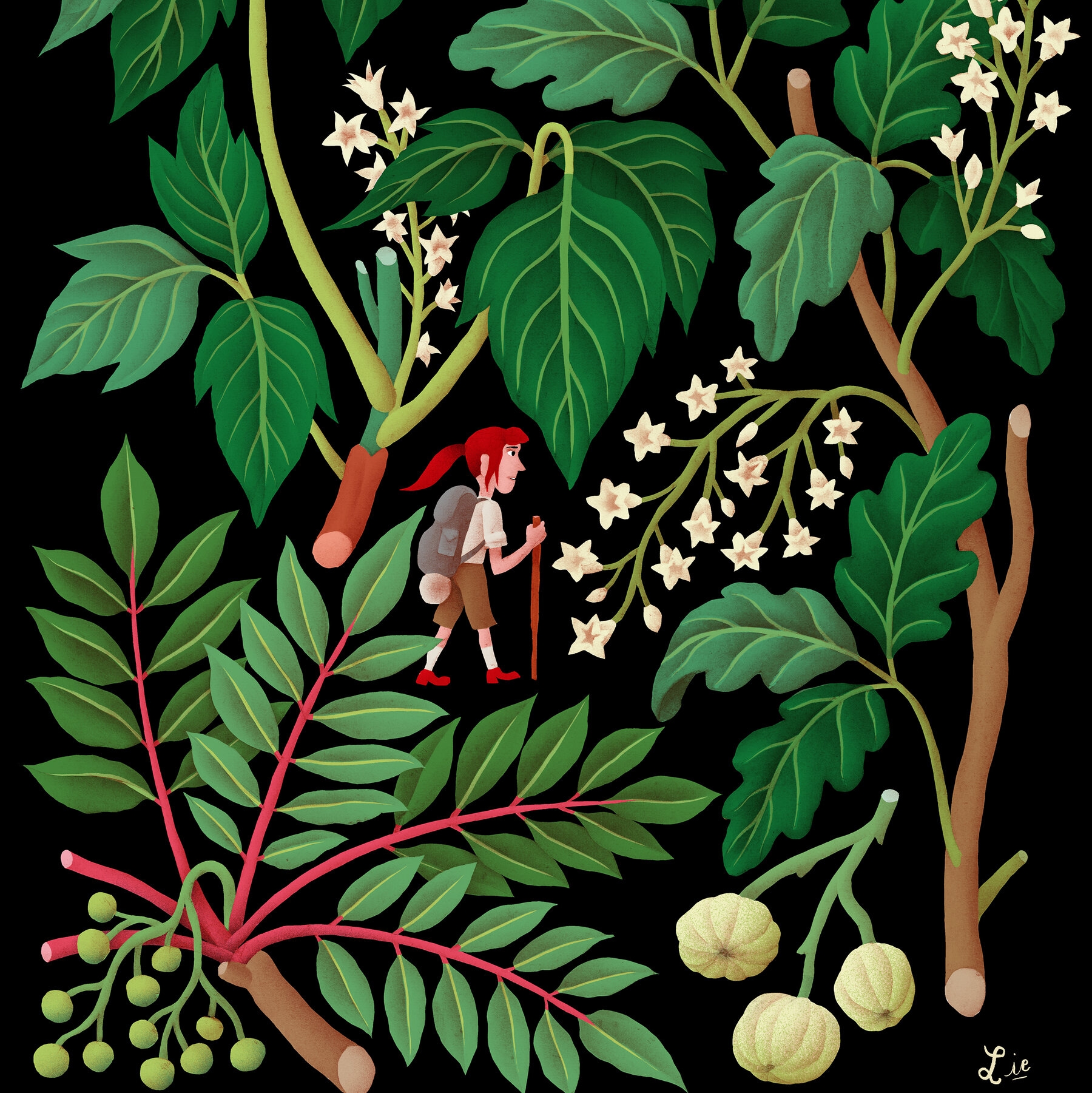 So You Touched Poison Ivy Now What The New York Times So You Touched Poison Ivy Now What The New York Times