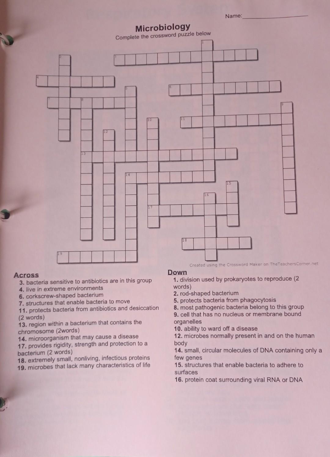 corkscrews and such crossword corkscrews and such crossword