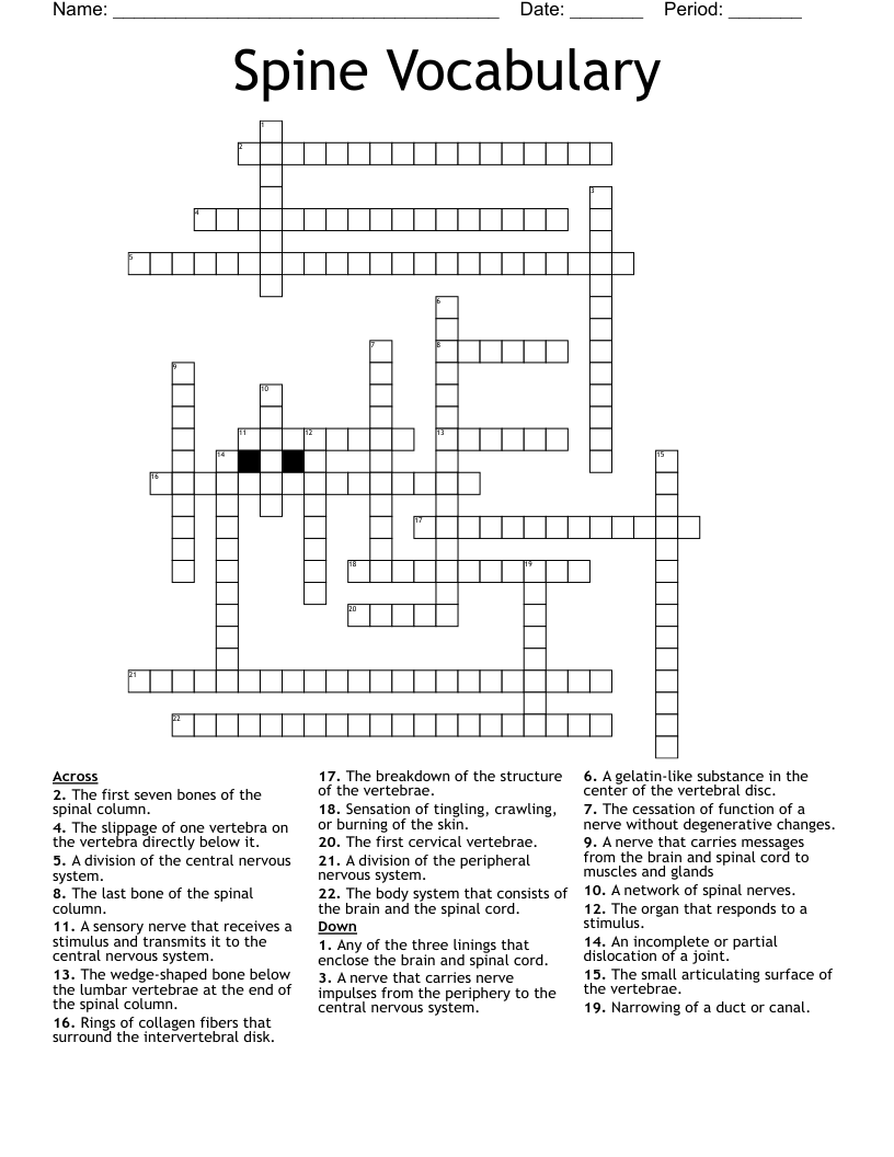 Spine Crossword WordMint Spine Crossword WordMint