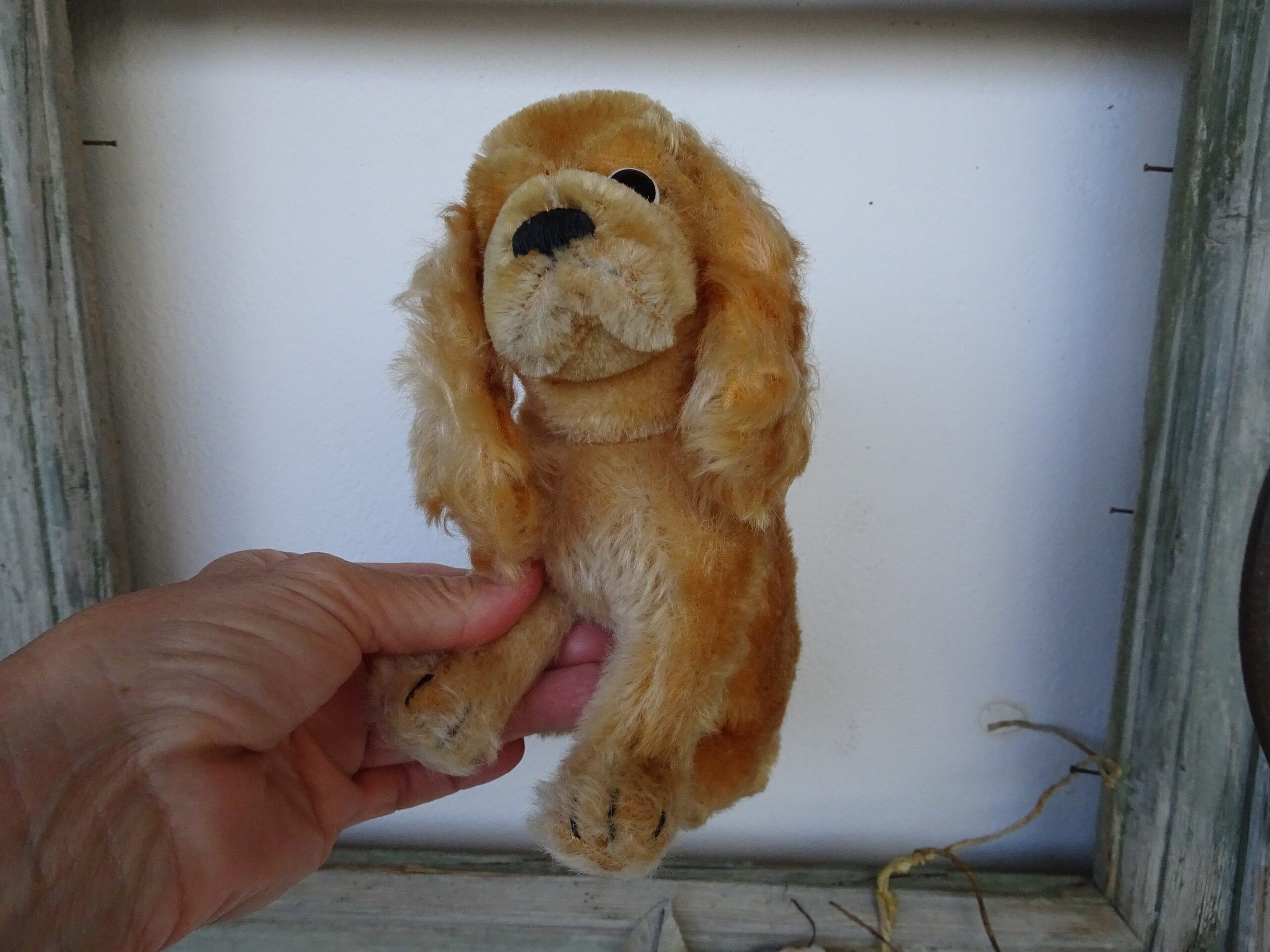 Steiff Revue Susi mohair cocker Spaniel Dog wood Stuffed swivel Head sitting Position no Ids Etsy Steiff Revue Susi mohair cocker Spaniel Dog wood Stuffed swivel Head sitting Position no Ids Etsy