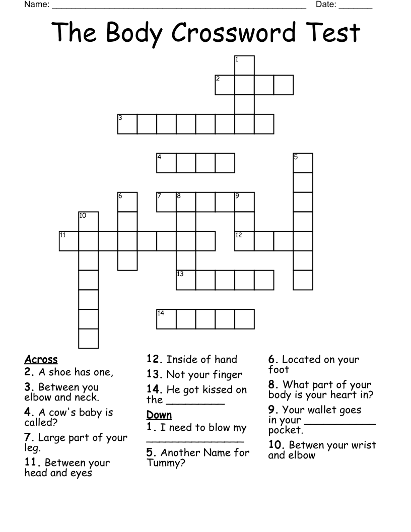 The Body Crossword Test WordMint