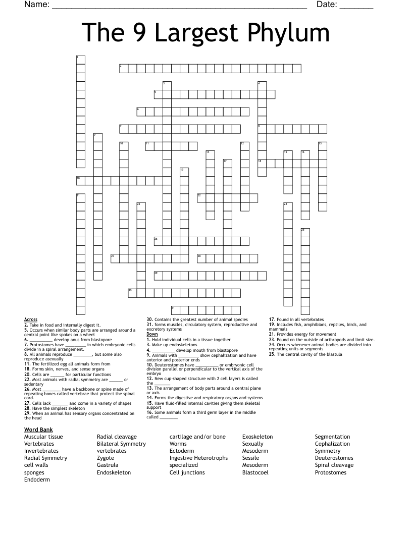 The Nine Largest Phylums Crossword WordMint The Nine Largest Phylums Crossword WordMint